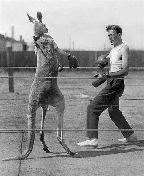 The 55 Weirdest Pictures From The Strangest .
